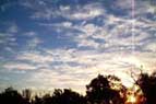 Pattern of a Dream